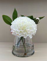 White Dahlia - Regular