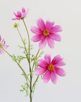 Real Touch Pink Cosmos