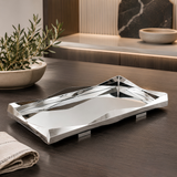 Stainless Steel Tray w/ Mirror Glass