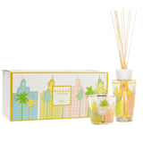 Gift Box My First Baobab Miami