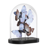 Rue de Bac Lilac Medium Butterflies