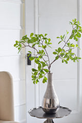Branch with Lush Leaves