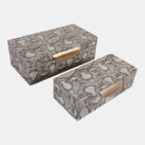 Shimmer Snakeskin Boxes