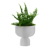 Stainless Steel Medium Cachepot