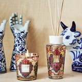 GIFT BOX MY FIRST BAOBAB MEXICO