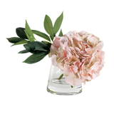 Hydrangea in Pyramid