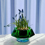 Lizzi Hand-Cut Crystal Bowl – Green