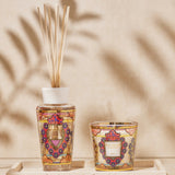 GIFT BOX MY FIRST BAOBAB MEXICO