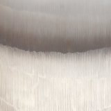 Ombra Vases