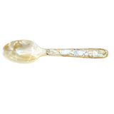 Condiment Spoon