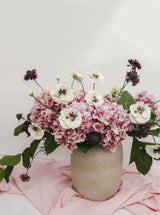 Violet Scabiosa Wildflower