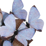 Rue de Bac Lilac Medium Butterflies