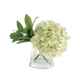 Hydrangea in Pyramid