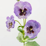 Lavender Purple Silk Pansy