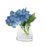 Hydrangea in Pyramid
