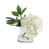 Hydrangea in Pyramid