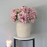 Soft Touch Hydrangea
