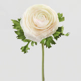 Cream Silk Ranunculus
