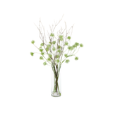Alliums & Branches