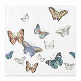 Collection of colorful butterflies on a white background