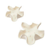 Two beige ceramic coasters on a white background