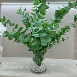 Eucalyptus In Water Centerpiece