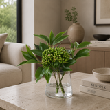 Green Sedum in Water