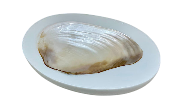 LARGE CAVIAR DISH -IVORY