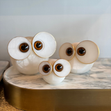 Ala Big Eyed Owl