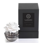 Quiet Luxury Gift Set