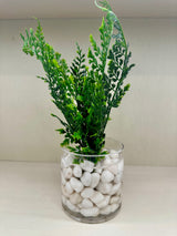 Assorted Ferns in Water