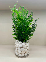 Assorted Ferns in Water