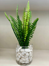 Assorted Ferns in Water