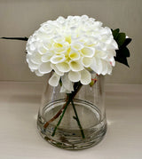 White Dahlia - Regular