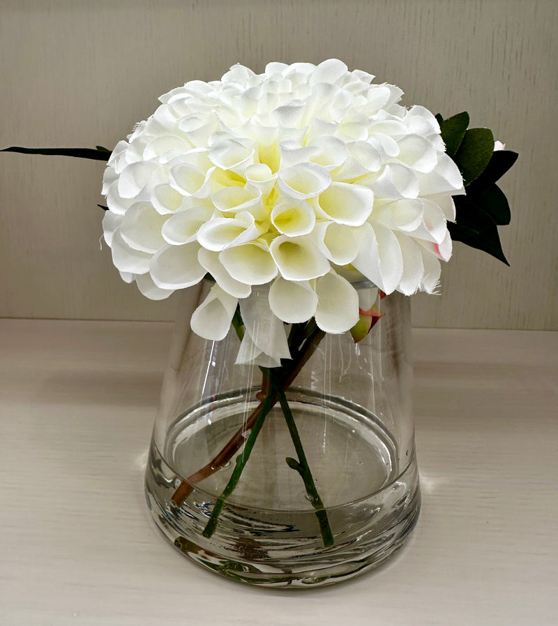 White Dahlia - Regular