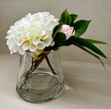 White Dahlia - Regular