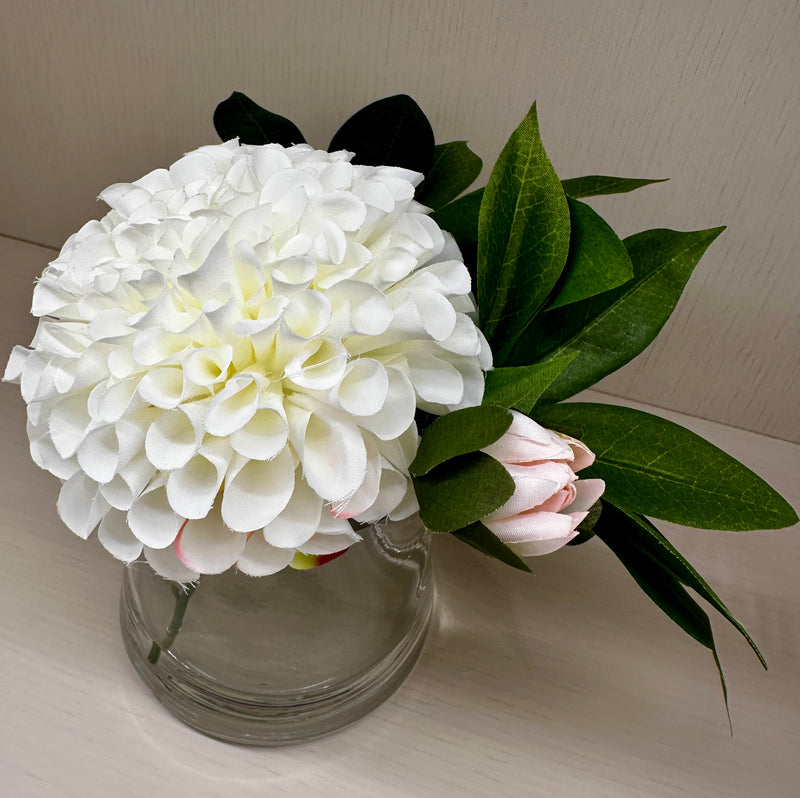 White Dahlia - Regular
