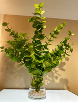 Eucalyptus In Water Centerpiece