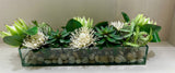 White Pin Protea Mix-Lg