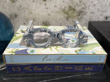 SAWYER STONE GLASSES