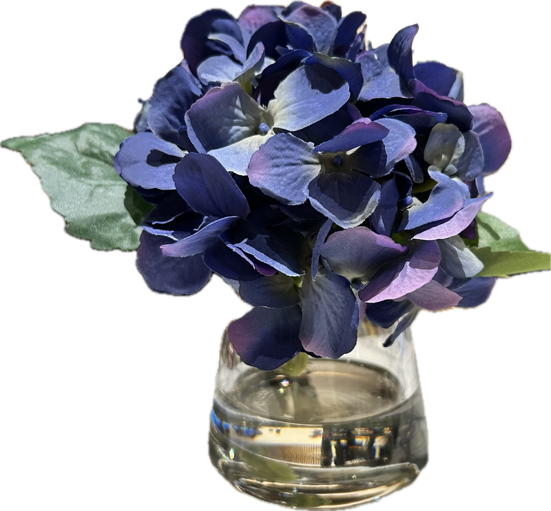 Blue Hydrangea Accent