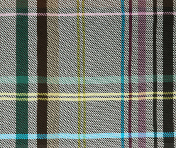CHECK Throw Blanket