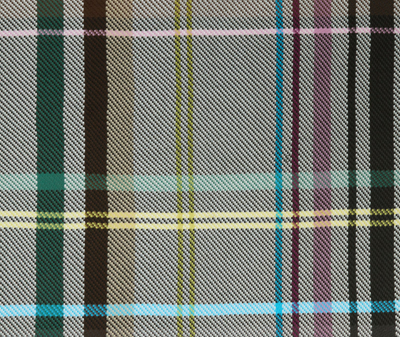 CHECK Throw Blanket