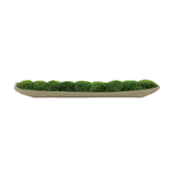 Mood Moss Garden in Wood Boat