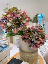 Hydrangea