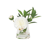 White Dahlia - Regular