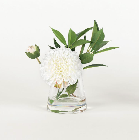 White Dahlia - Regular