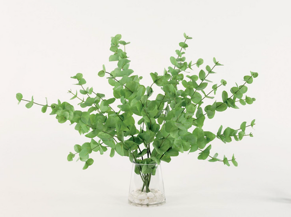 Eucalyptus In Water Centerpiece