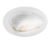 LARGE CAVIAR DISH -IVORY