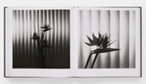 Mapplethorpe Flora: The Complete Flowers